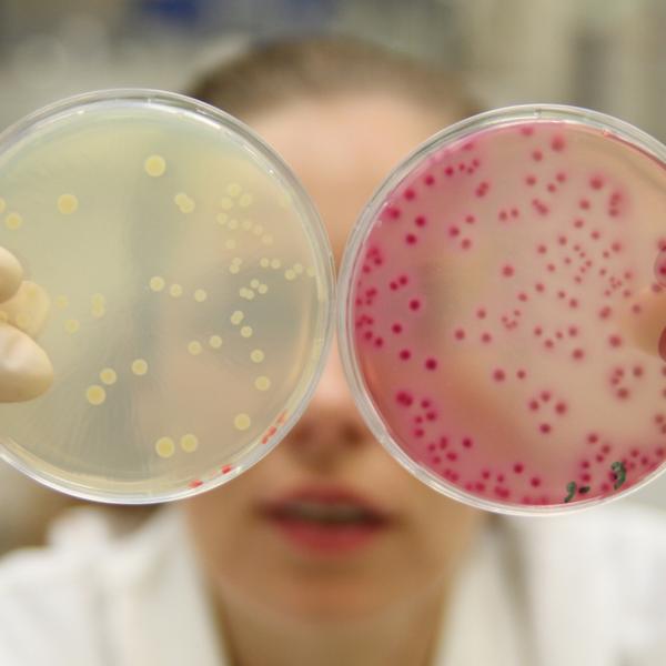 Μικροβιακή «Κιβωτός του Νώε» για την προστασία της παγκόσμιας υγείας