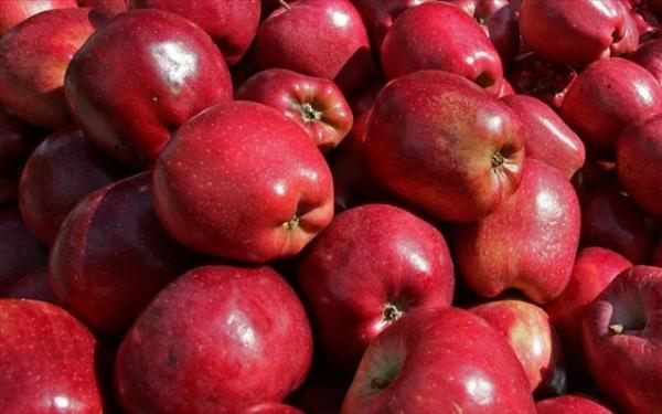 Δέσμευση 2,6 τόνων φρούτων αγνώστου προελεύσεως στην περιοχή του Ρέντη
