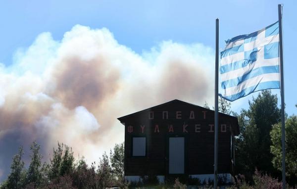 Φωτιά Σιθωνία: Οι φλόγες φτάνουν σε οικισμούς – Πνιγμένη στον καπνό η Σάρτη