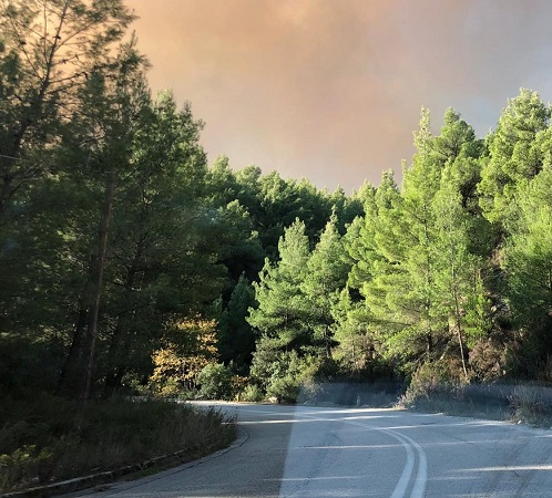 Σιθωνία : Τρία χιλιόμετρα το πύρινο μέτωπο – Εντολή εκκένωσης του οικισμού Κάμπου