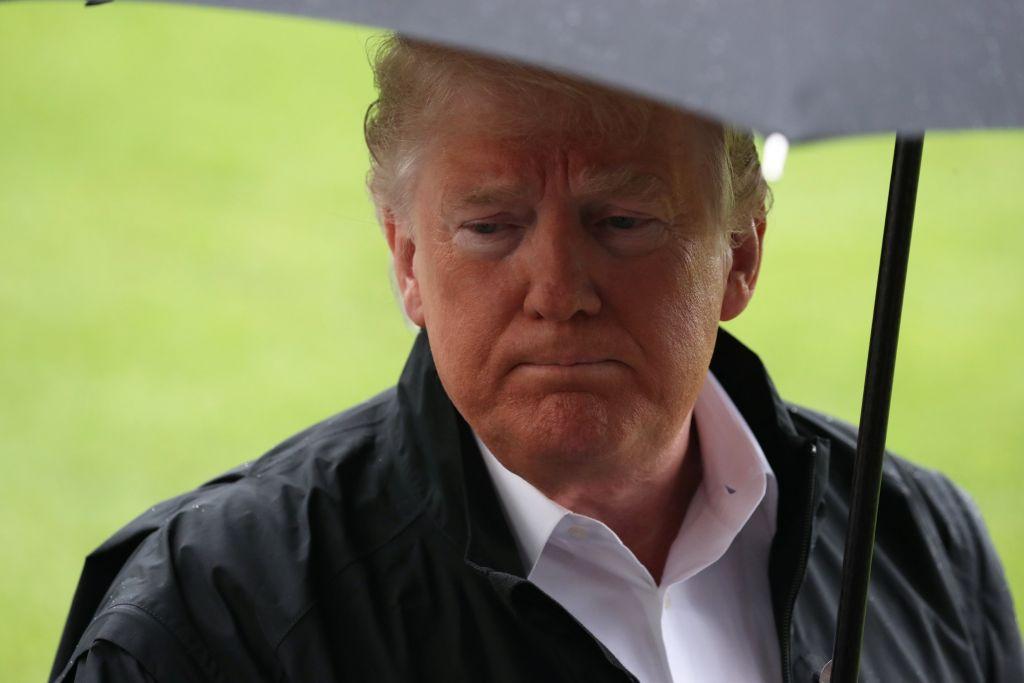 Κίνημα μουσικών κατά Τραμπ στις ΗΠΑ