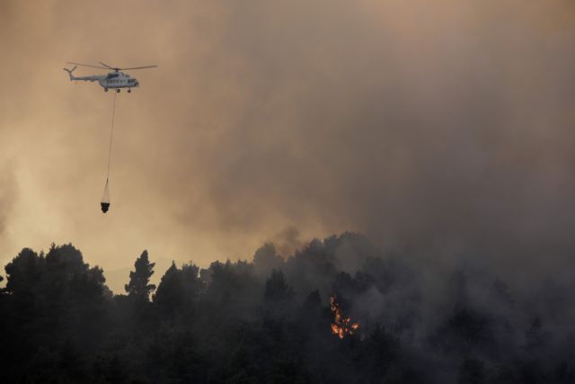 Στις παρυφές οικισμού η ανεξέλεγκτη πυρκαγιά στη Χαλκιδική