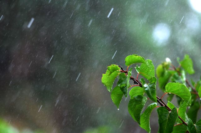 Η ανομβρία συνεχίζεται και ανησυχεί τους αγρότες