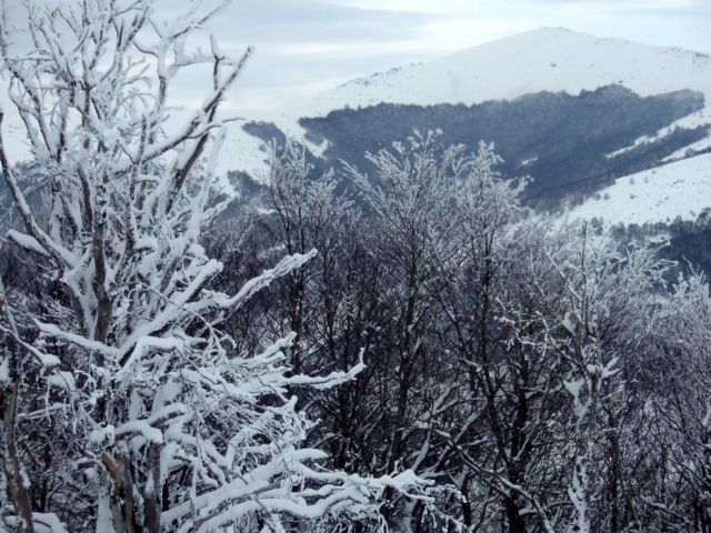 Κλειστά τα σχολεία τη Δευτέρα στη Φλώρινα λόγω χιονόπτωσης