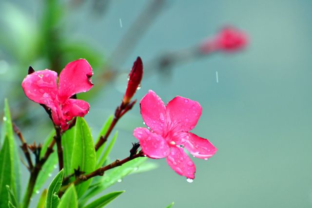 Χαλάει ο καιρός – Που θα βρέξει