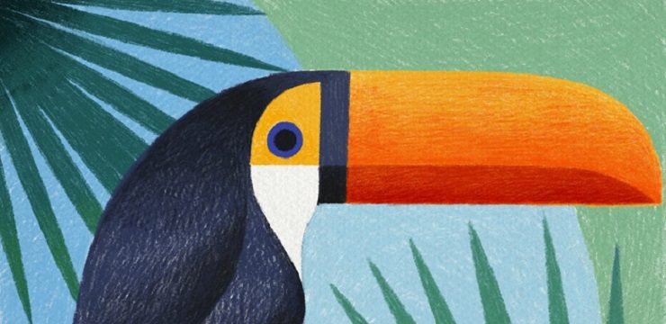 Εικόνες φτιαγμένες στο I- Pad