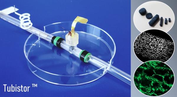 Καινοτόμο «όργανο σε τσιπάκι» παρακολουθεί τα κύτταρα σε πραγματικό χρόνο