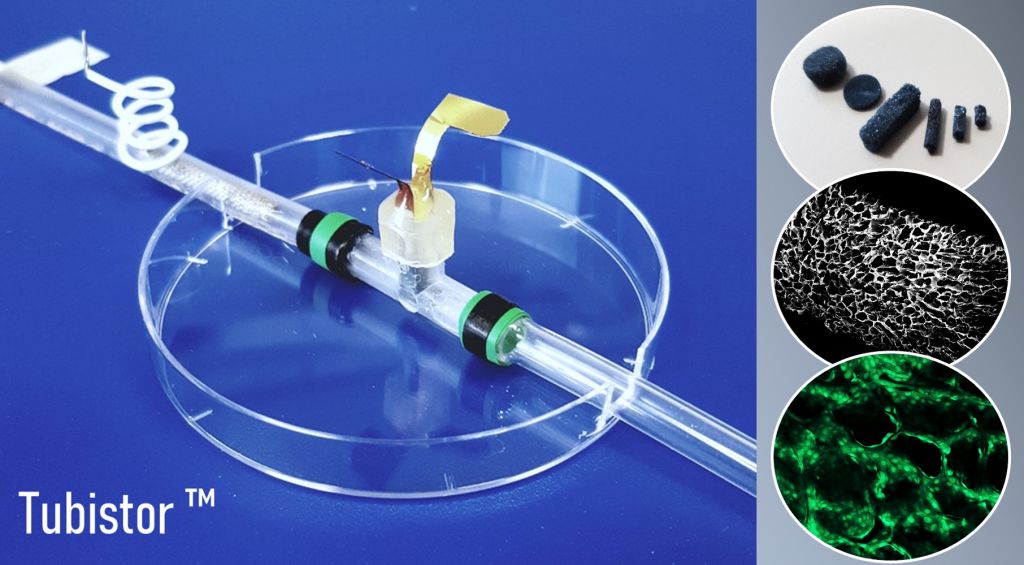 Καινοτόμο «όργανο σε τσιπάκι» παρακολουθεί τα κύτταρα σε πραγματικό χρόνο