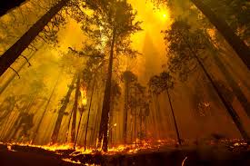 Πως εξαπλώθηκε η πυρκαγιά στην Καλιφόρνια