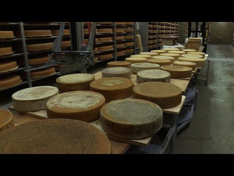 Η μουσική εξημερώνει και το… τυρί