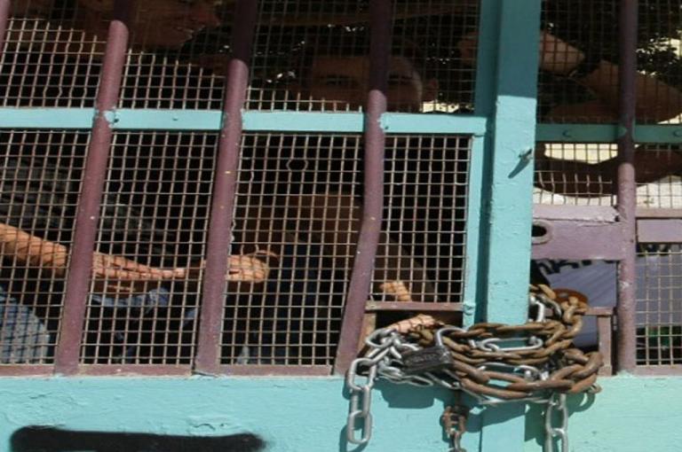 Ανοιχτή επιστολή παλιού δασκάλου