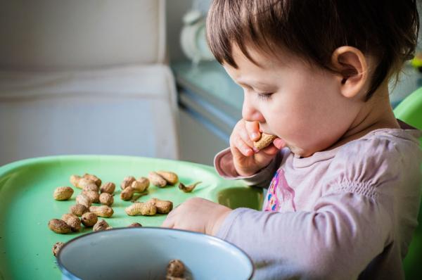 Βρέθηκε λύση για την αλλεργία στα φιστίκια;