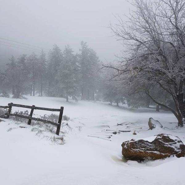 Στα λευκά «ντύθηκε» η Πάρνηθα