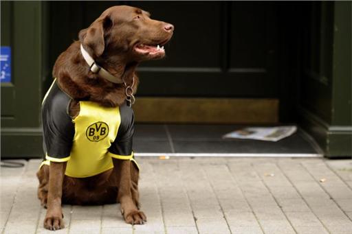 Στα χρώματα της Μπάγερν και της Ντόρτμουντ το Λονδίνο