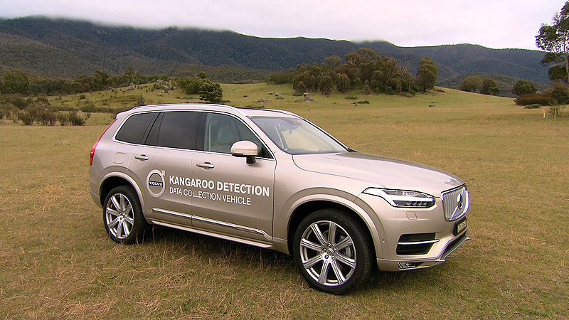 Volvo Kangaroo Detection System
