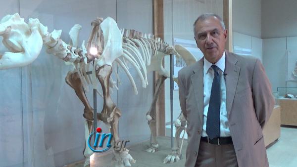 Ο Γεώργιος Θεοδώρου στο in.gr για τον ελέφαντα της Τήλου σε 3D