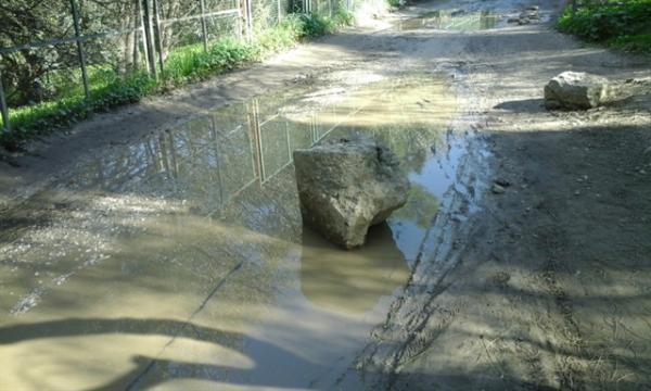 Οι πυρόπληκτοι ζήτησαν αξιοποίηση από τον κ. Τσίπρα
