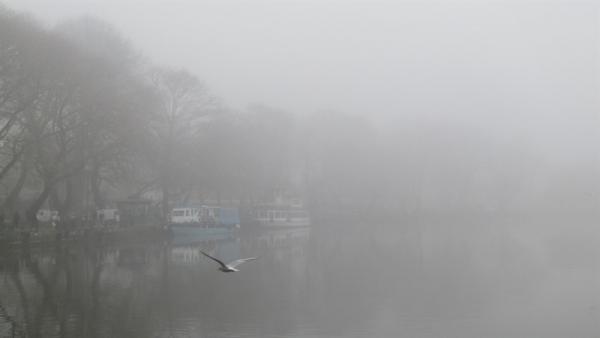 Η λίμνη των Ιωαννίνων χαμένη στην ομίχλη