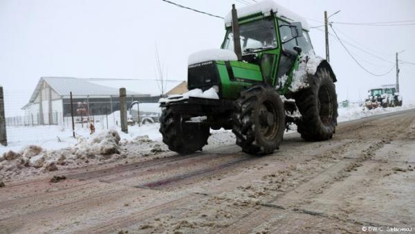 Η γρίπη των χοίρων και η ρουμανική προεδρία