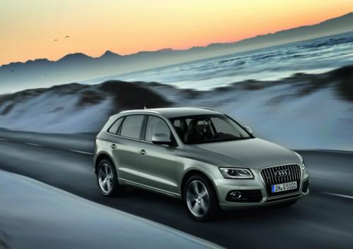Audi Q5 2013