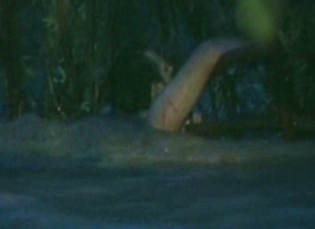 Ολονύχτιες έρευνες για τον εντοπισμό του 55χρονου στη Θέρμη Θεσσαλονίκης