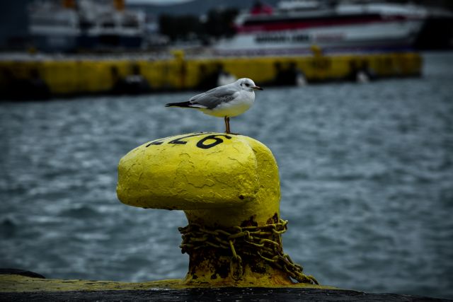Καιρός: Μικρή άνοδος της θερμοκρασίας