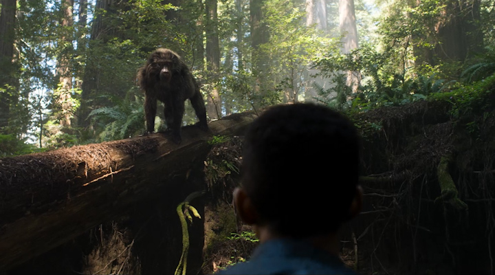 Σκηνή από την ταινία «After Earth»