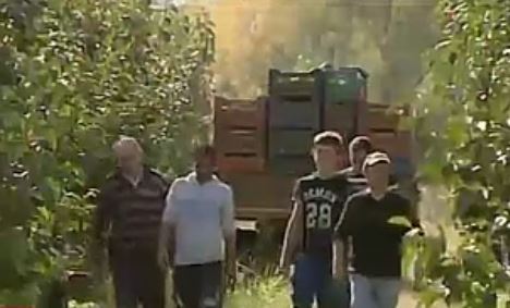 Σύγκρουση κυβέρνησης – αγροτών για τη φοροδιαφυγή