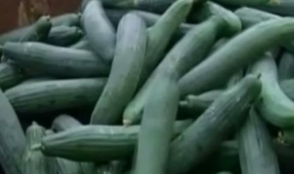 Εμπάργκο της Ρωσίας στα ευρωπαϊκά οπωροκηπευτικά