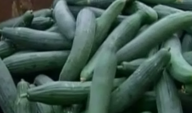 Εμπάργκο της Ρωσίας στα ευρωπαϊκά οπωροκηπευτικά