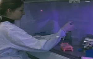 Ιαση παιδιού από το AIDS, ανακοίνωσαν Αμερικανοί επιστήμονες