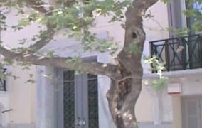 Πολιτικό όμιλο σκεφτόταν να δημιουργήσει ο Άκης Τσοχατζόπουλος