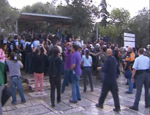 Χρήση δακρυγόνων και παρατεταγμένες δυνάμεις των ΜΑΤ στην Ακρόπολη