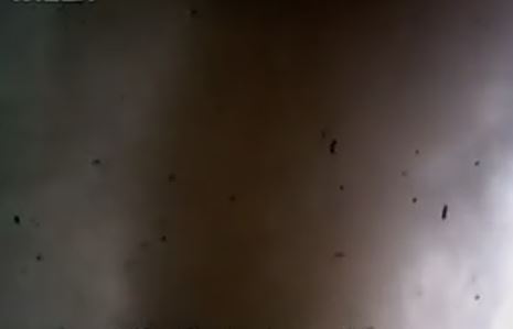 Η στιγμή που ο ανεμοστρόβιλος χτυπάει τη Σκάλα Λακωνίας