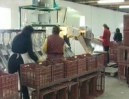 Στο 11,7% αυξήθηκε η ανεργία στο πρώτο τρίμηνο του 2010