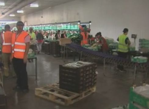 Σε αρνητικό Ευρωπαϊκό ρεκόρ 26% η ανεργία