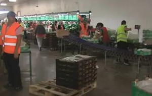 Στο 21,9% η ανεργία τον Μάρτιο