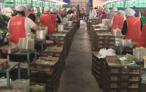 Η κυβέρνηση ξεκινά «πόλεμο» κατά της ανεργίας