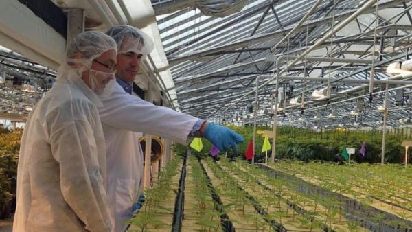 Μετά την Folli Follie στο στόχαστρο του QCM και η καναδική Aphria