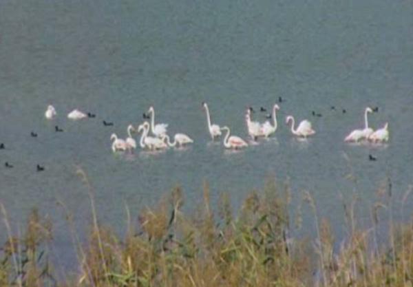 Αποκρατικοποιήσεις: προς αξιοποίηση και της αγροτικής γης