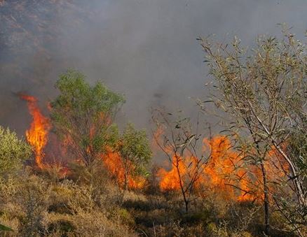 Πύρινη «κόλαση» στη Χίο