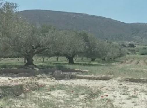 ΥΠΟΙΚ: Δεν θα φορολογηθούν οι αποθηκευτικοί χώροι σε αγροτική γη