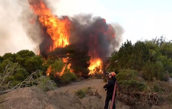 Μεγάλη δασική πυρκαγιά στο δάσος της Στροφυλιάς στα όρια Ηλείας και Αχαΐας