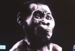 Σκελετοί στη Νότιο Αφρική «ανήκουν σε άγνωστο είδος ανθρώπου»