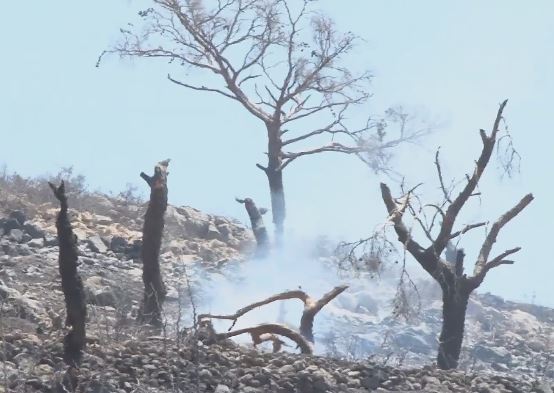 Στην Χίο ο Βαγγέλης Αποστόλου για τις ζημιές από την πυρκαγιά