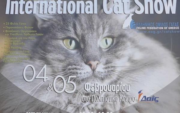 30ή και 31η Διεθνής Έκθεση Μορφολογίας Γάτας στο Μαρούσι