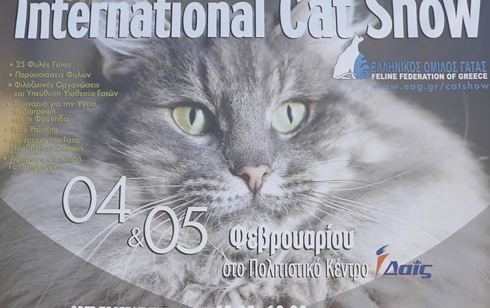 30ή και 31η Διεθνής Έκθεση Μορφολογίας Γάτας στο Μαρούσι