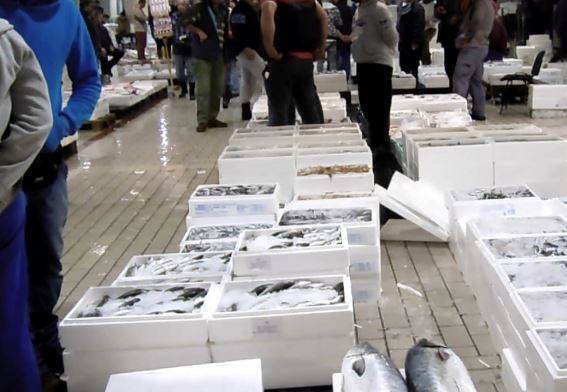 Ξημερώματα στην ιχθυόσκαλα του Κερατσινίου