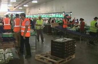 Στα χέρια της τρόικας το σχέδιο για τον κατώτατο μισθό