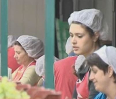 Σε «ελεύθερη πτώση» οι μισθοί του ιδιωτικού τομέα